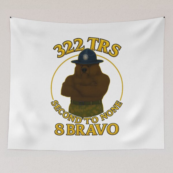 Item preview, 322 TRS, Air Force Basic training, old school logo with the bear designed and sold by 8Bravo.