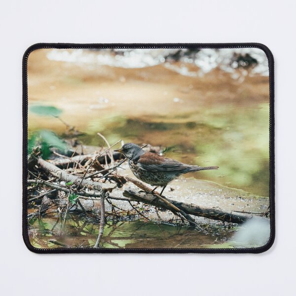 Item preview, Fieldfare by the Stream – Quiet Forest Visitor designed and sold by alicjamiekina.