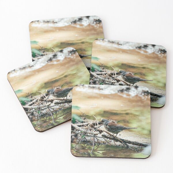 Item preview, Fieldfare by the Stream – Quiet Forest Visitor designed and sold by alicjamiekina.