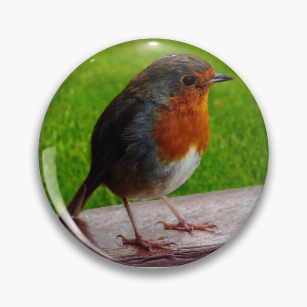 Item preview, Perfil de cerca de un petirrojo designed and sold by ChimaGraphics.