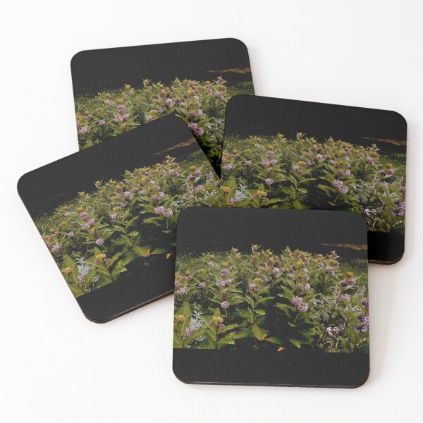Item preview, Weird Milkweed designed and sold by Smitty Petalz.