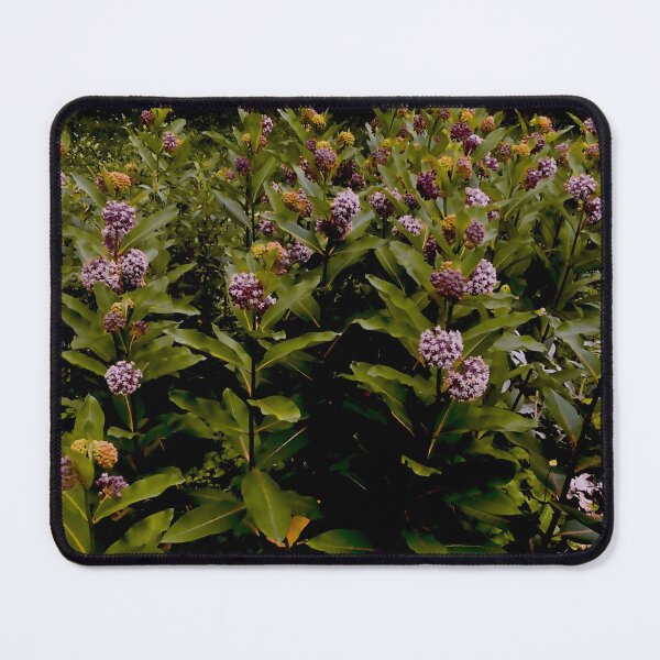 Item preview, Weird Milkweed designed and sold by Smitty Petalz.