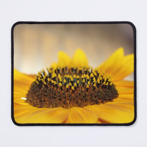 Item preview, Sunflower designed and sold by MandiThePill.