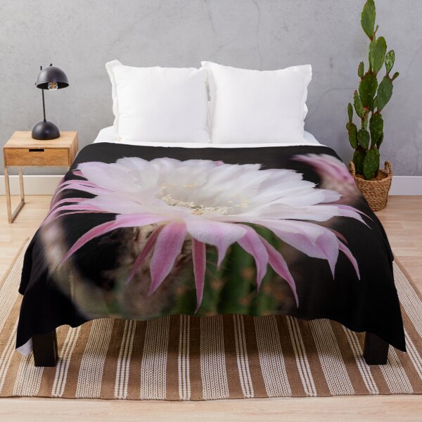 Item preview, Delicate Cactus Blossom designed and sold by Kasia Design.