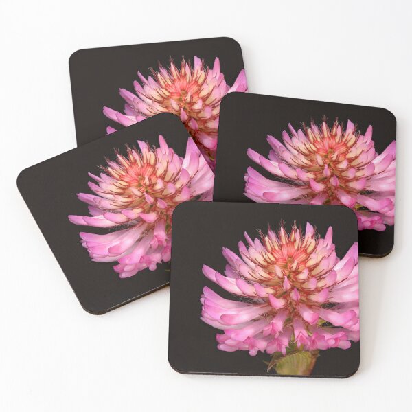 Item preview, Pink Petals Wildflower Close-up of Alpine Clover in Bloom designed and sold by Goiko7Margarita.