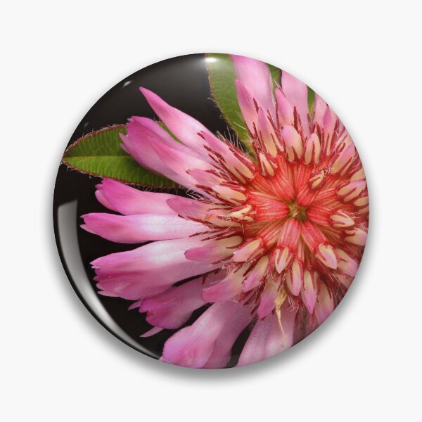 Item preview, Macro of Alpine Clover Wildflower Pink Flower designed and sold by Goiko7Margarita.