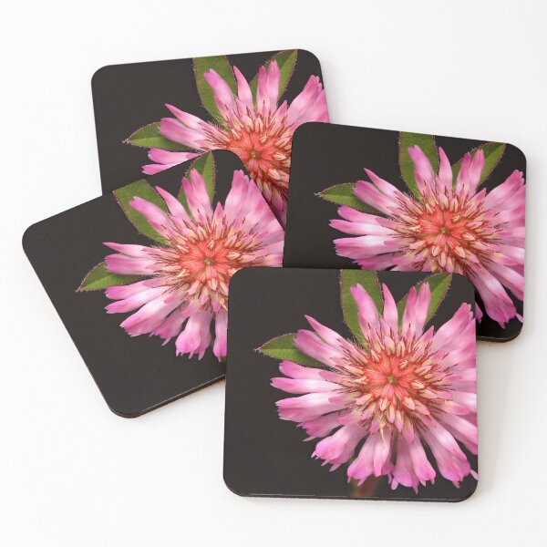 Item preview, Macro of Alpine Clover Wildflower Pink Flower designed and sold by Goiko7Margarita.