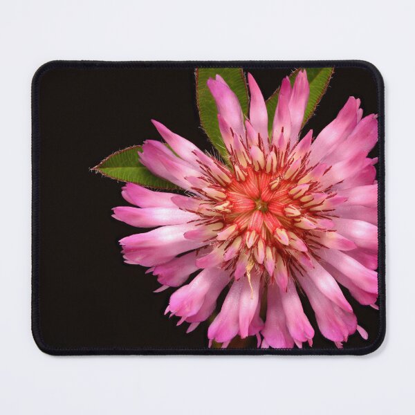 Item preview, Macro of Alpine Clover Wildflower Pink Flower designed and sold by Goiko7Margarita.