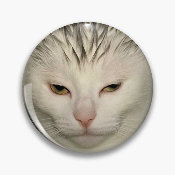Item preview, Sigma Cat designed and sold by PaulnlyFans.