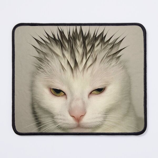 Item preview, Sigma Cat designed and sold by PaulnlyFans.