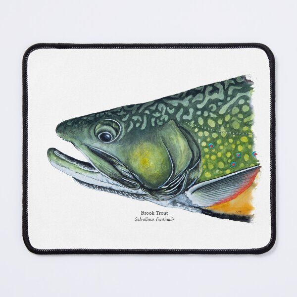 Item preview, Brook Trout Head Painting designed and sold by Stephen Emms.