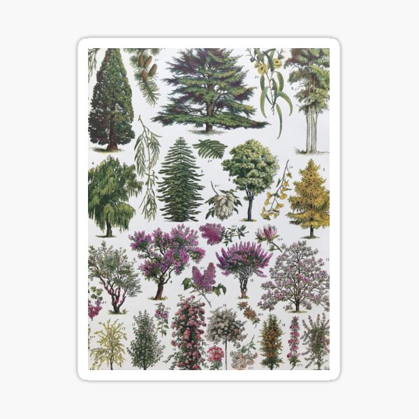Item preview, Tree Diagram Print designed and sold by Jackie Shaddix.