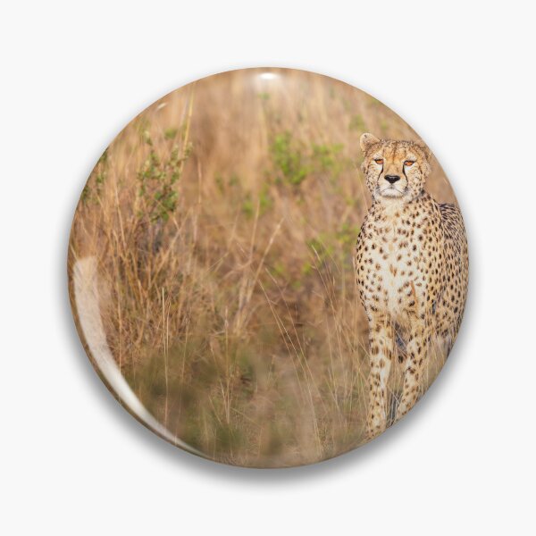 Item preview, Cheetah in the Savanna Masai Mara Kenya designed and sold by PhotoArt by Joan Carroll.