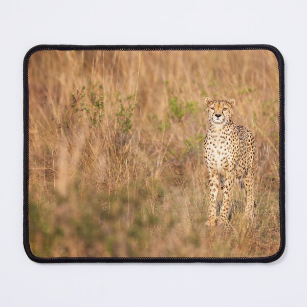 Item preview, Cheetah in the Savanna Masai Mara Kenya designed and sold by PhotoArt by Joan Carroll.