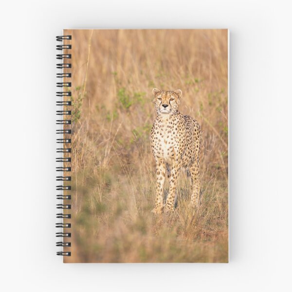 Item preview, Cheetah in the Savanna Masai Mara Kenya designed and sold by PhotoArt by Joan Carroll.