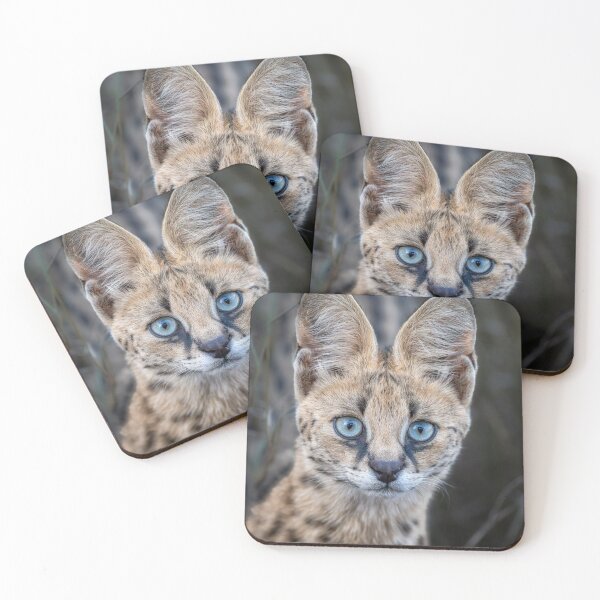 Item preview, Serval Cat 3 in the Masai Mara Kenya designed and sold by PhotoArt by Joan Carroll.