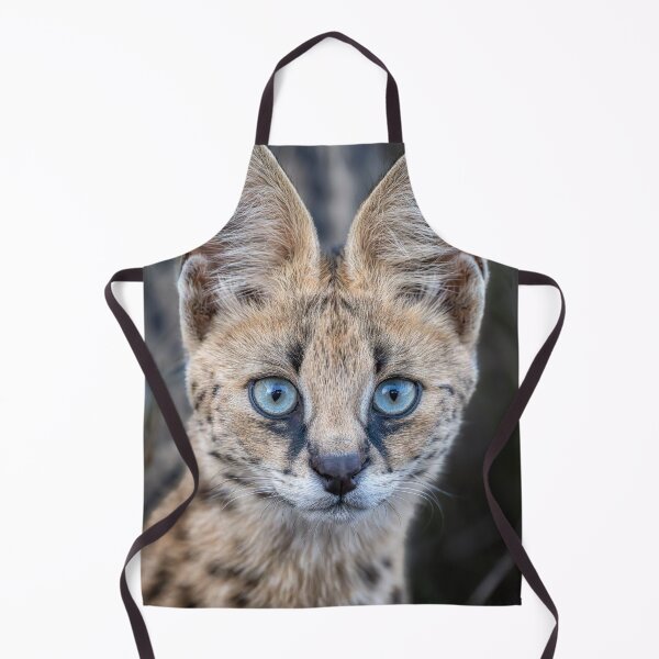 Item preview, Serval Cat 3 in the Masai Mara Kenya designed and sold by PhotoArt by Joan Carroll.