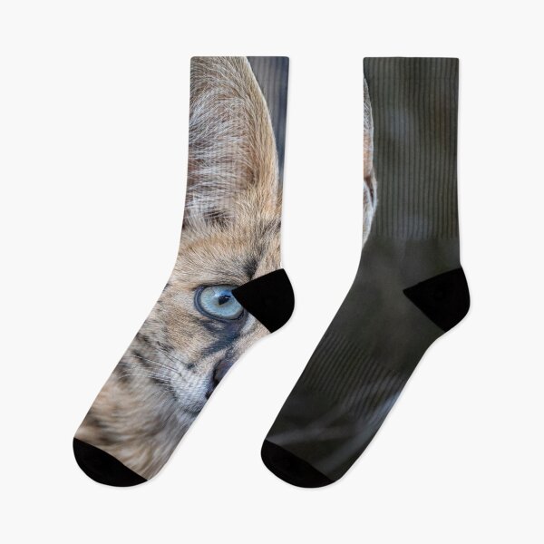 Item preview, Serval Cat 3 in the Masai Mara Kenya designed and sold by PhotoArt by Joan Carroll.