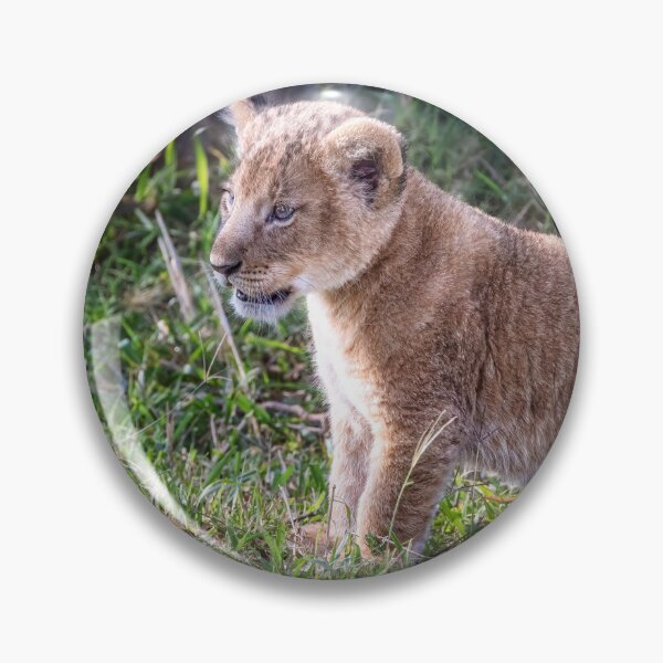 Item preview, Lion Cub Masai Mara Kenya designed and sold by PhotoArt by Joan Carroll.