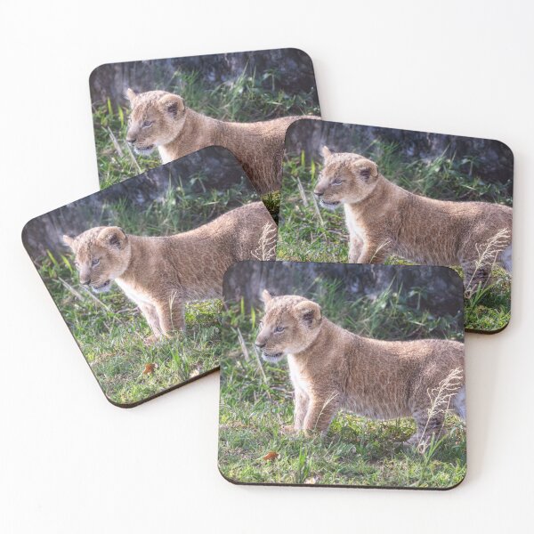 Item preview, Lion Cub Masai Mara Kenya designed and sold by PhotoArt by Joan Carroll.