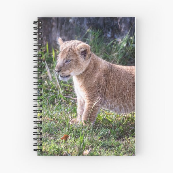 Item preview, Lion Cub Masai Mara Kenya designed and sold by PhotoArt by Joan Carroll.
