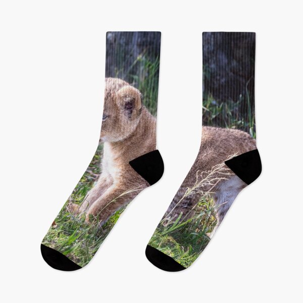 Item preview, Lion Cub Masai Mara Kenya designed and sold by PhotoArt by Joan Carroll.