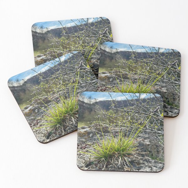 Item preview, Wild Grass on Rocky Ground designed and sold by Nuvijo.