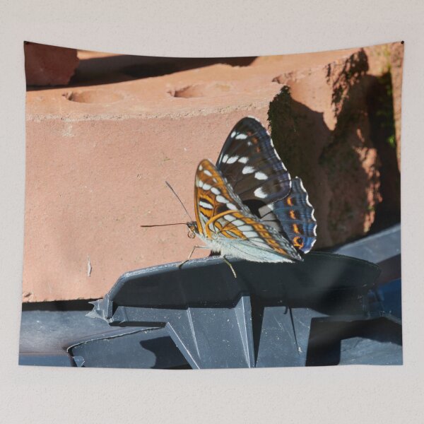 Item preview, Checking the bricks. Poplar Admiral designed and sold by Jouko Lehto Photography.
