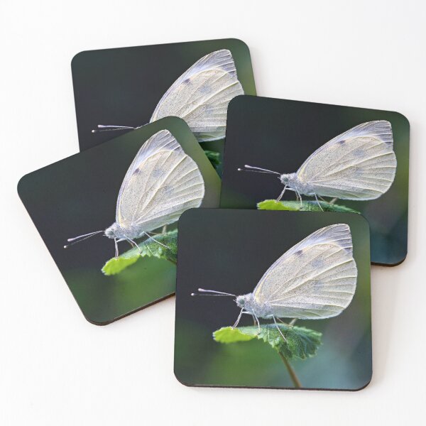 Item preview, small white butterfly macro designed and sold by Tom McPherson Photography.