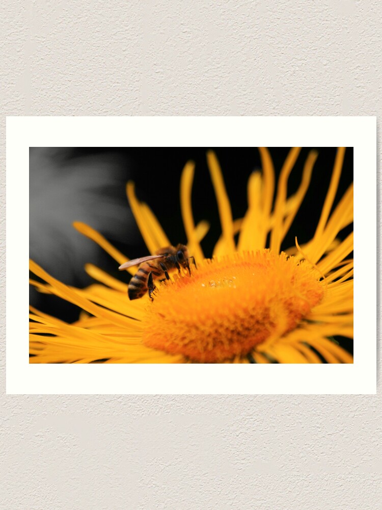 Alternate view of Flower Raider Art Print