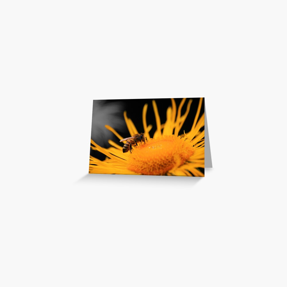 Flower Raider Greeting Card