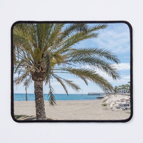 Item preview, Tropical Palm Tree on Málaga Beach – Serene Coastal View of Southern Spain designed and sold by Compass and a Camera.