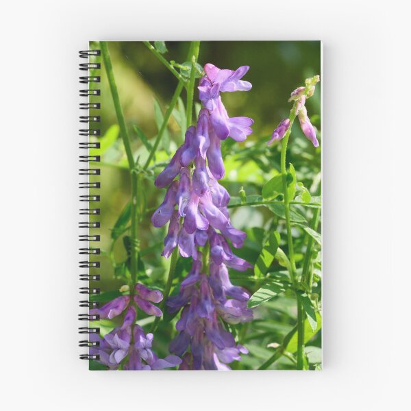 Item preview, Up we go. Tufted Vetch designed and sold by Jouko Lehto Photography.