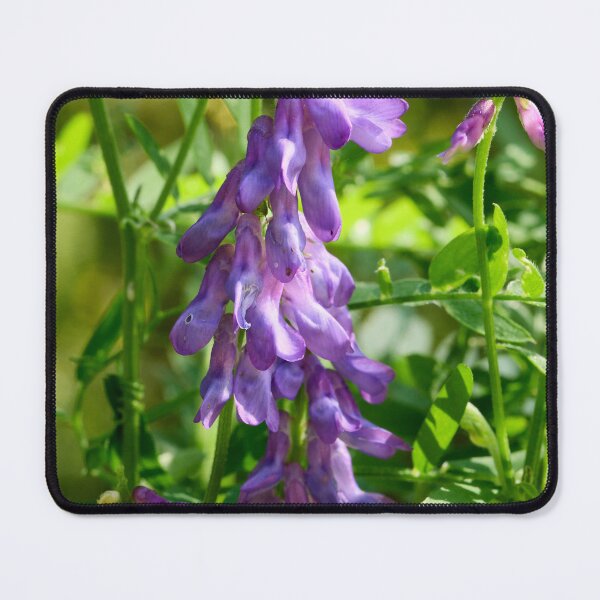 Item preview, Up we go. Tufted Vetch designed and sold by Jouko Lehto Photography.