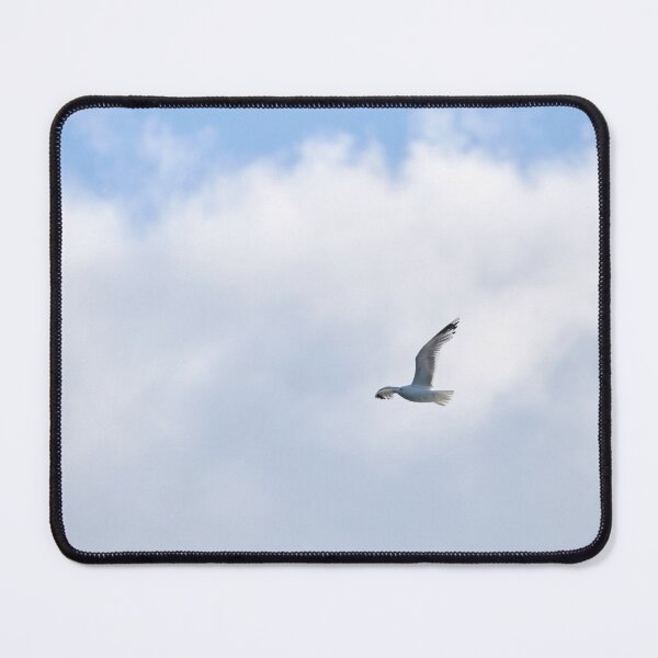 Item preview, In the clouds. Common Gull designed and sold by Jouko Lehto Photography.