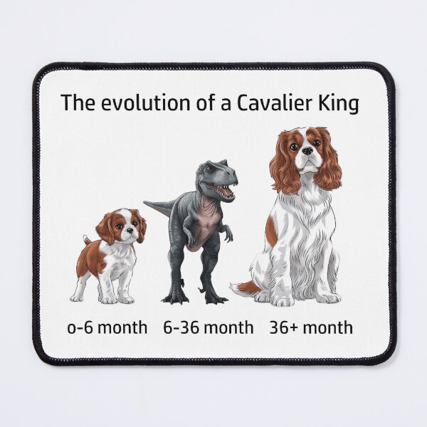 Item preview, Copy of The Evolution of a Cavalier King Charles designed and sold by Ranout.