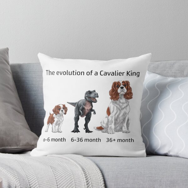 Item preview, Copy of The Evolution of a Cavalier King Charles designed and sold by Ranout.