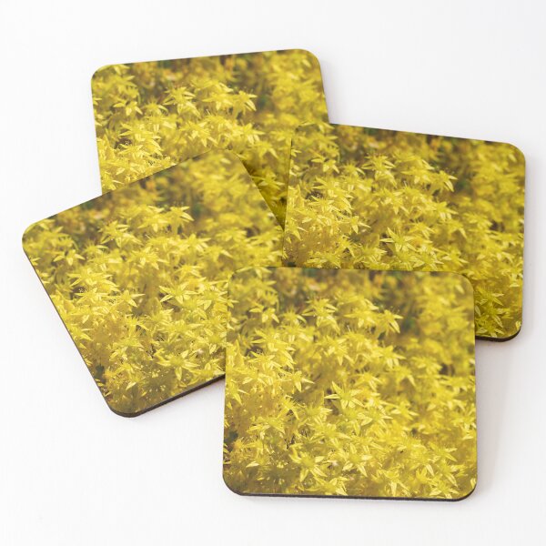 Item preview, Oh the yellow. Goldmoss stonecrop designed and sold by Jouko Lehto Photography.