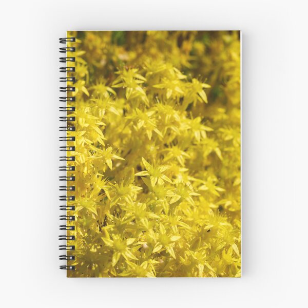 Item preview, Oh the yellow. Goldmoss stonecrop designed and sold by Jouko Lehto Photography.