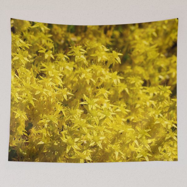 Item preview, Oh the yellow. Goldmoss stonecrop designed and sold by Jouko Lehto Photography.