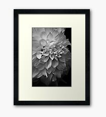 Plush Framed Print