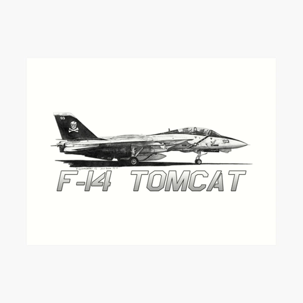 DXM decal 1/48 USN F-14B Tomcat VF-103 Jolly Rogers '00-'04