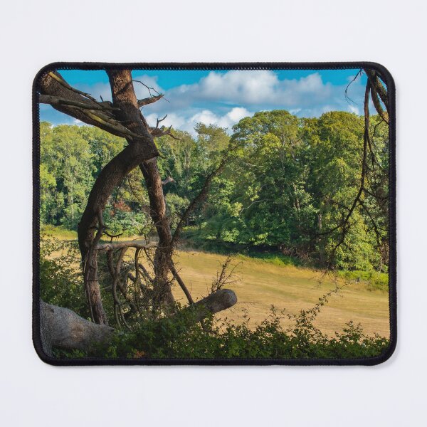 Item preview, Natures Window designed and sold by Christine Lake.