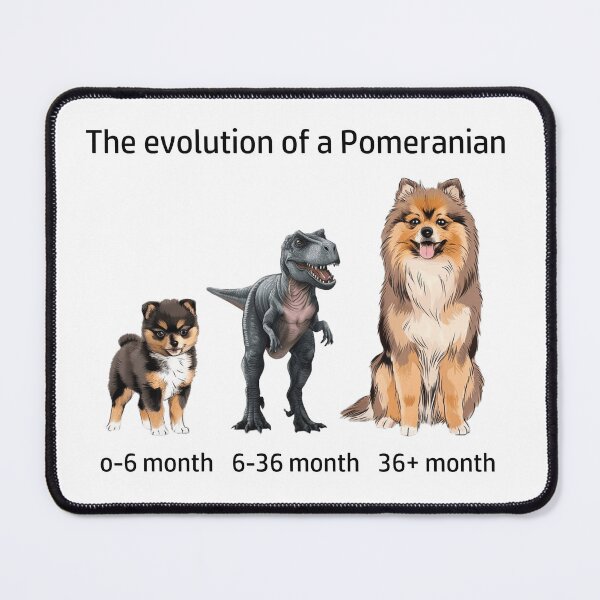 Item preview, The Evolution of a Pomeranian designed and sold by Ranout.