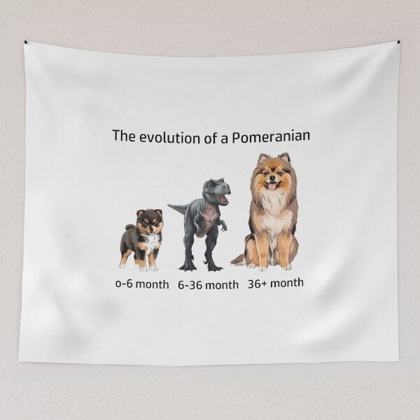 Item preview, The Evolution of a Pomeranian designed and sold by Ranout.