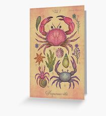 Marine Life I Greeting Card
