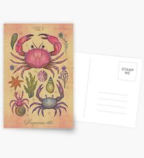 Marine Life I Postcards