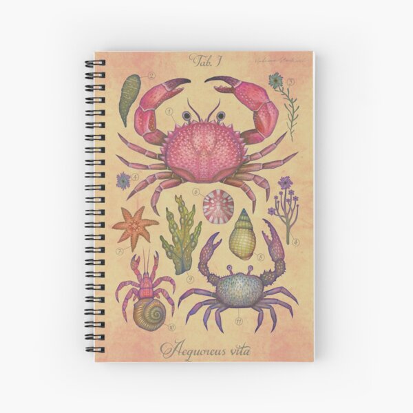 Marine Life I Spiral Notebook