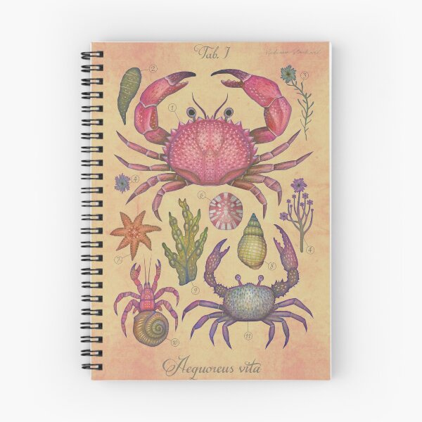 Item preview, Marine Life I designed and sold by Cabinet Of Curiosities by Vlad.