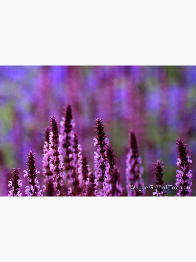 What The Impressionists Saw by redmoondragon